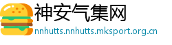 神安气集网